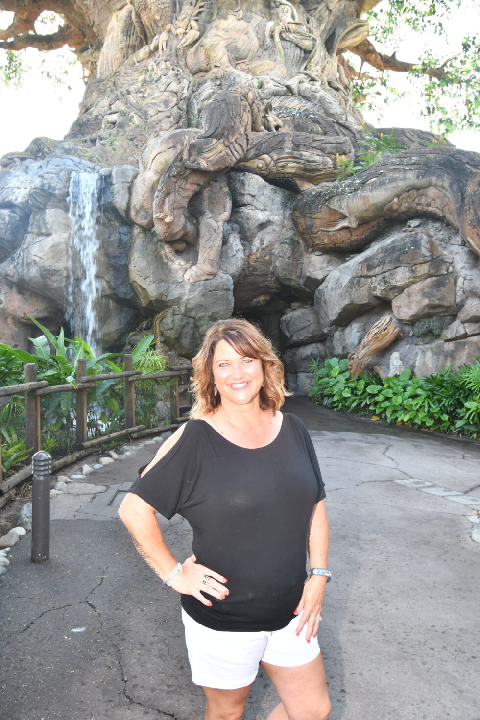 Capture Your Moment - Disney's Animal Kingdom - Enchanted Destinations