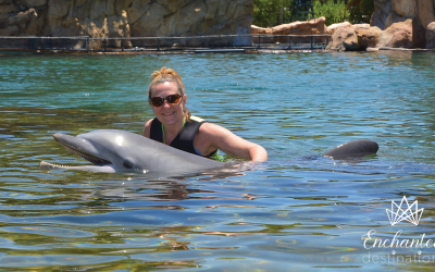 Discovering Discovery Cove: A Tropical Paradise in Florida